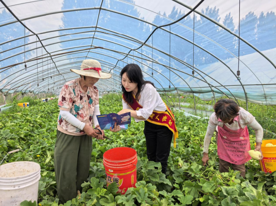 华安保险：设置“清凉驿站” 做好“保险宣传”