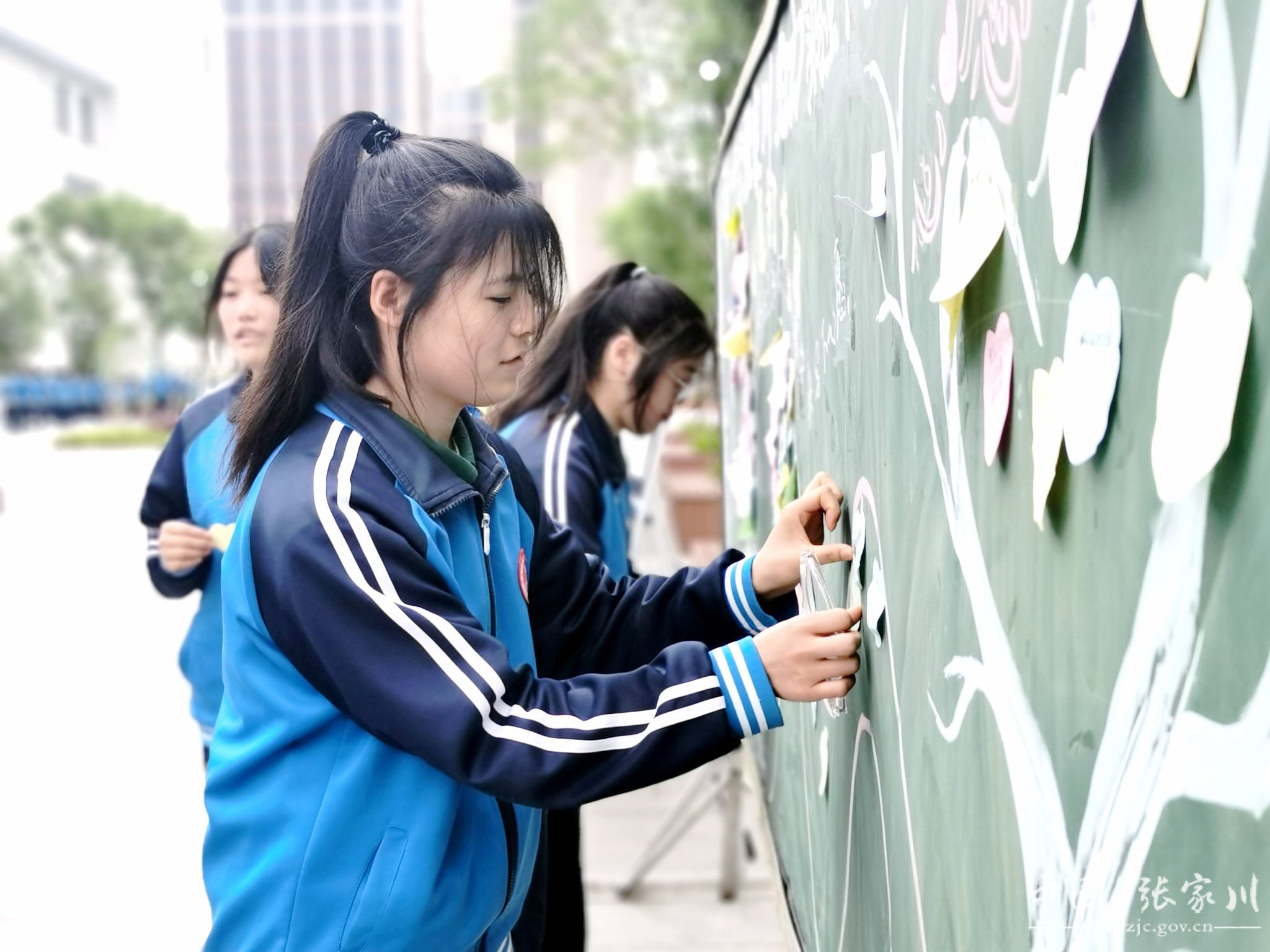 张家川回族自治县一中开学时间(张家川回族自治县一中开学时间最新)