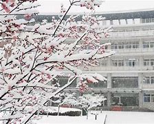 雪巴四中开学时间(巴四中学校怎么样)