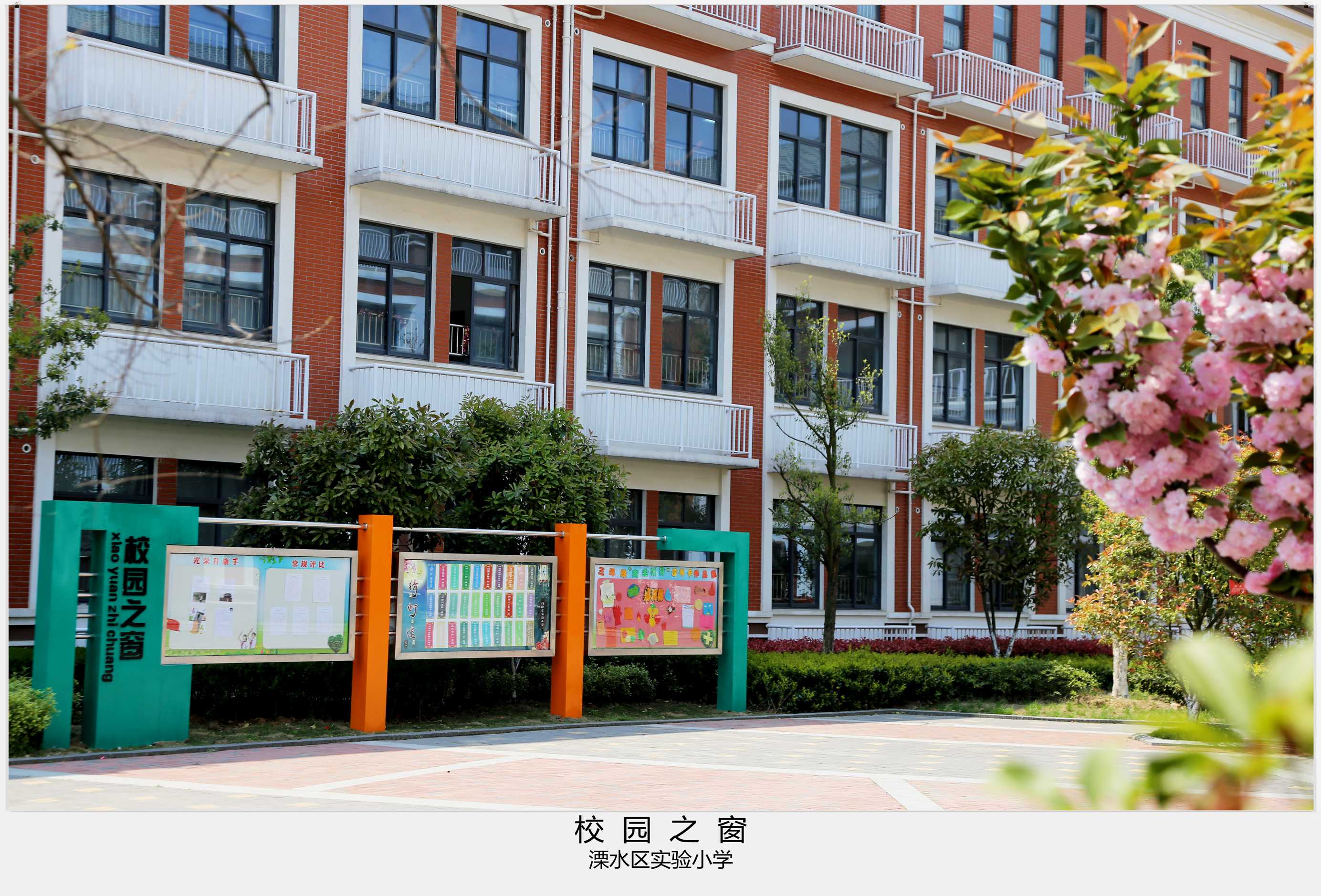 溧水区小学报名时间(溧水区小学报名时间查询)