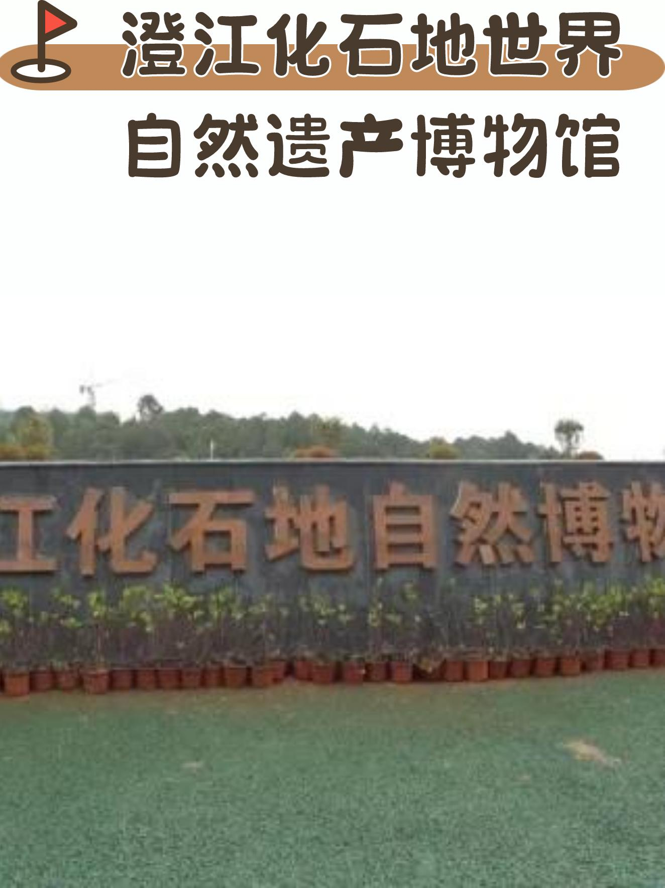 新平彝族傣族自治县小学报名时间(新平彝族傣族自治县小学报名时间表)