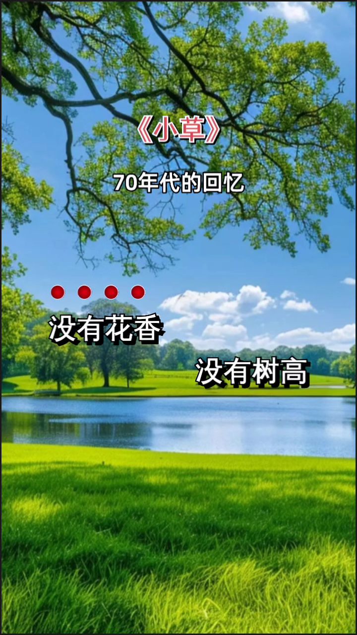 小草在线观看视频免费2019(小草在线观看视频免费2019无限看)